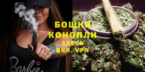гидропоника Осинники