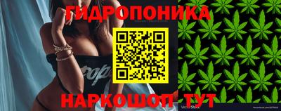 крисы Азнакаево