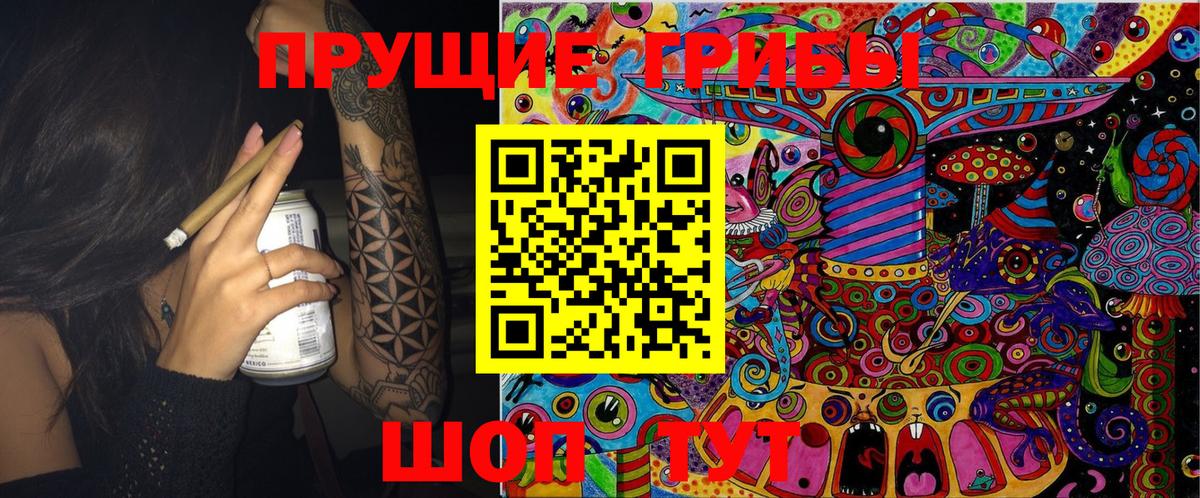 Галлюциногенные грибы Psilocybine cubensis  Псилоцибиновые грибы мухоморы  Алушта 