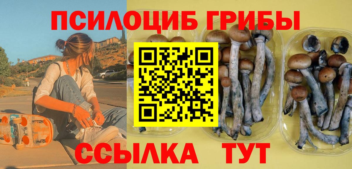 Алушта  Псилоцибиновые грибы GOLDEN TEACHER  Вход с VPN 