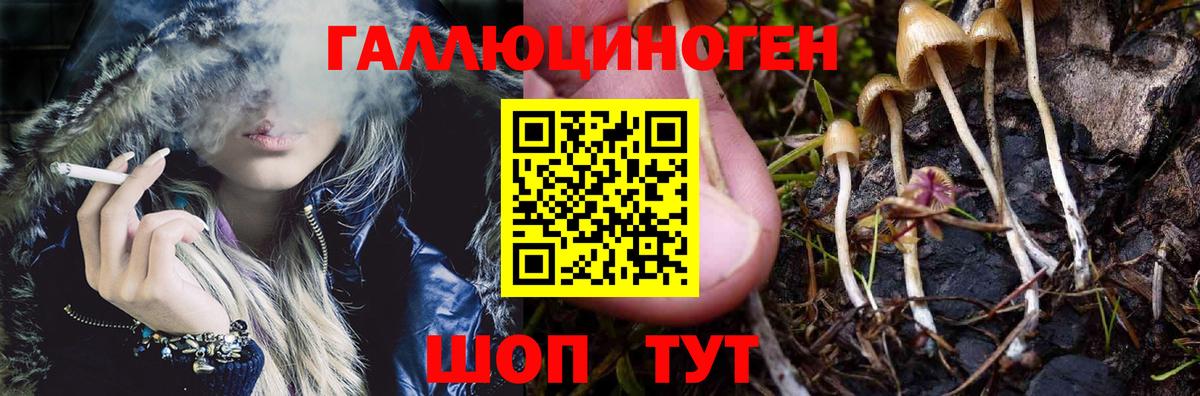 Псилоцибиновые грибы MAGIC MUSHROOMS Алушта