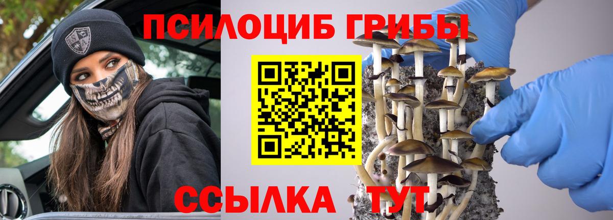 Алушта  Псилоцибиновые грибы ЛСД  Вход с VPN 
