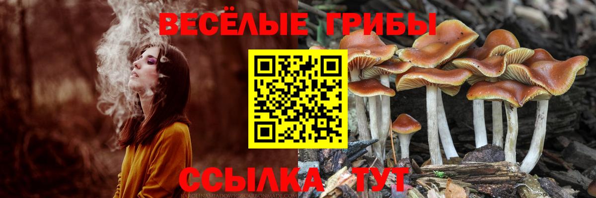 Псилоцибиновые грибы GOLDEN TEACHER Алушта